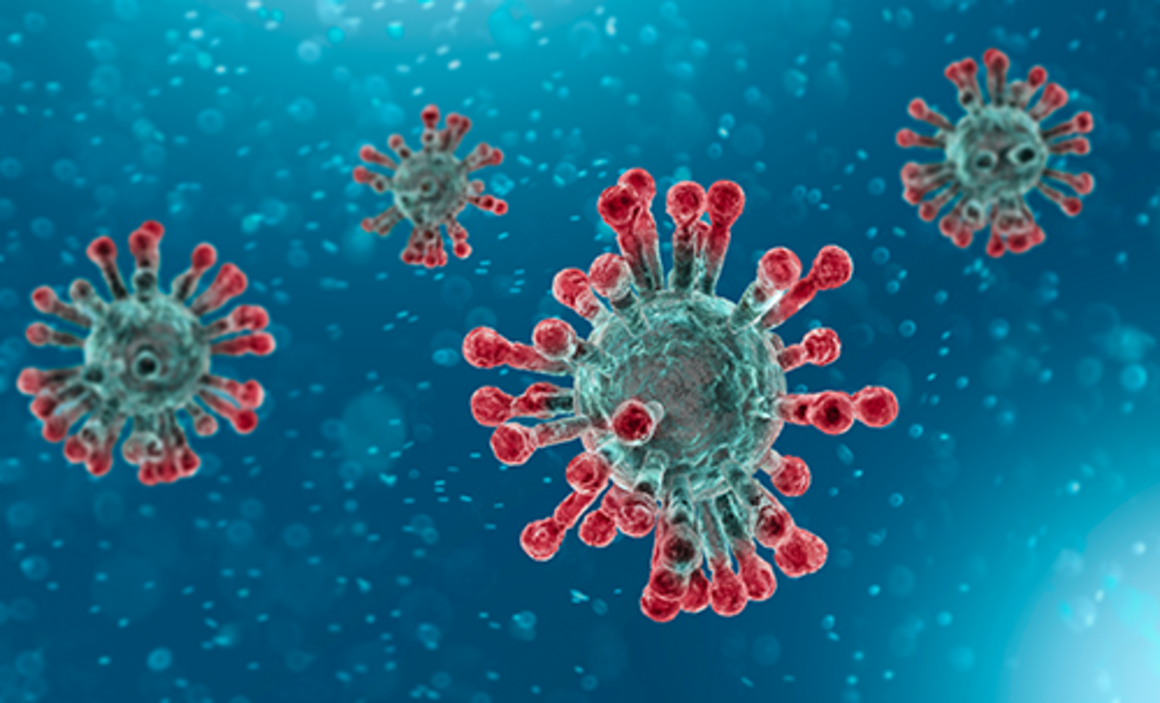 Coronavirus H